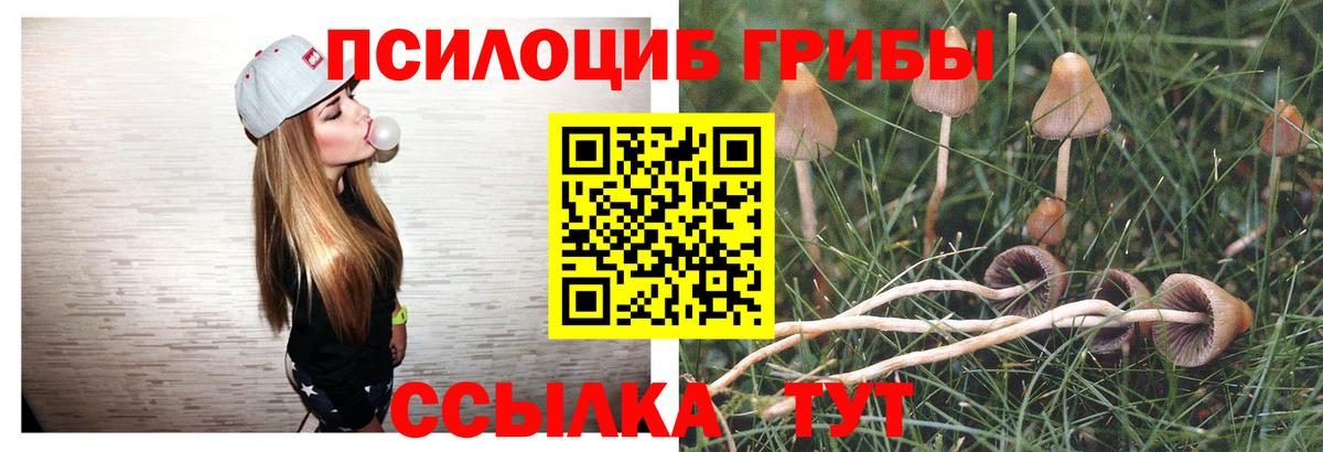Северобайкальск  хочу   Псилоцибиновые грибы прущие грибы  Вход с VPN  Галлюциногенные грибы мицелий 